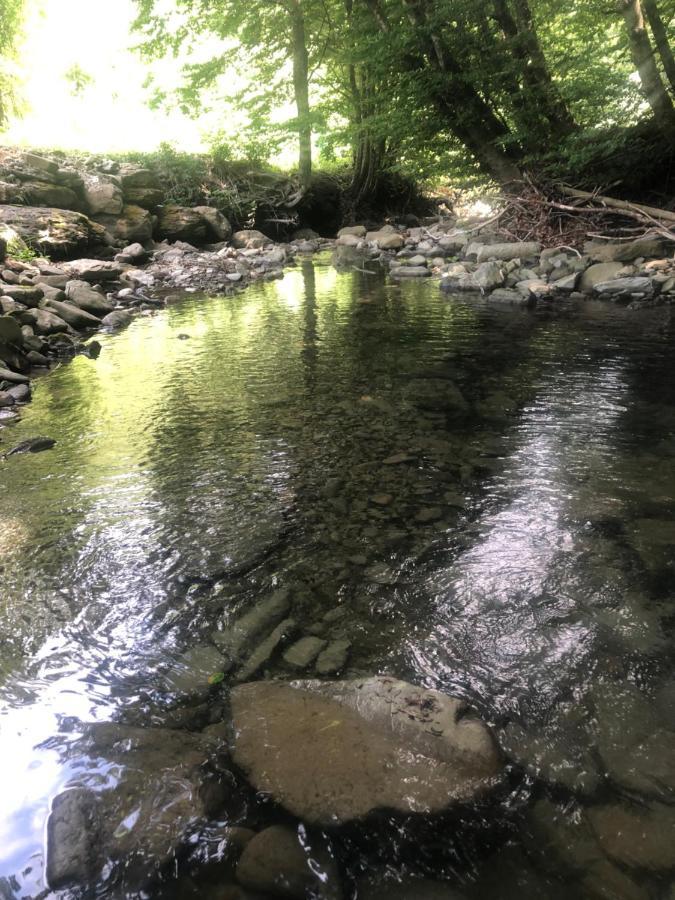 Camugnano Casa Nel Bosco, Appennino Tosco Emiliano 아파트 외부 사진